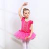 Girls' Ballet Dancewear: Long/Short Sleeve Leotard - Toddler & Children's Chinese Dance Costume