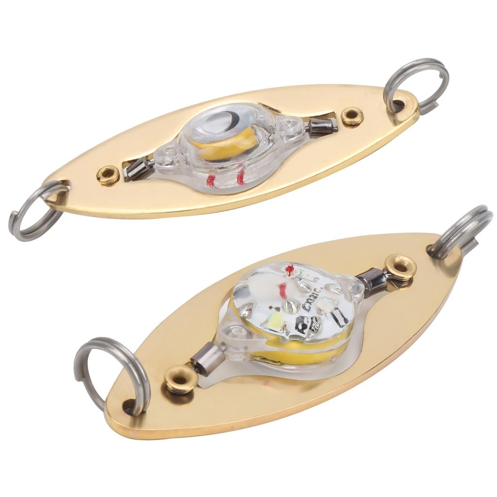2Pcs Fishing LED Lure Light Eye Shape Colorful Flashing Light Bait Underwater Lure Lamp