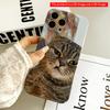 Grumpy Cat Portrait Phone Case All Inclusive Film Hard Phone Case, Compatible with iPhone 18 Pro Max 17 16 15 14 13 12 11