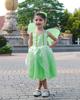 Tinkerbell Dress for Princess Dress Cosplay Wings Tiara Flower Kids Girls Gift [CQDY] Kids, (Fairy + + + Stick, etc.) 7-Piece Set, Fairy, Spirit,