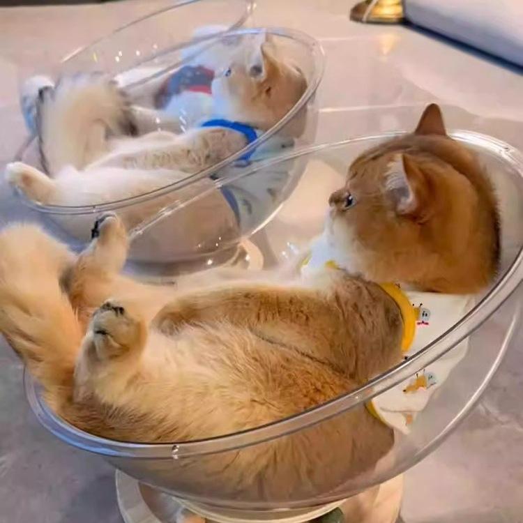 Klar rymdkapsel kattbädd - Kattunge sov- och leksak för alla säsonger