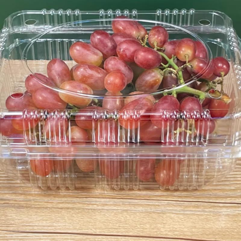 Disposable Fruit & Vegetable Packaging Box