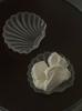 Glass Shell Glass Dish Mini Dish Cheese  Dessert Cakes Plate Jewelry Storage Tray  Simple New Style Plate