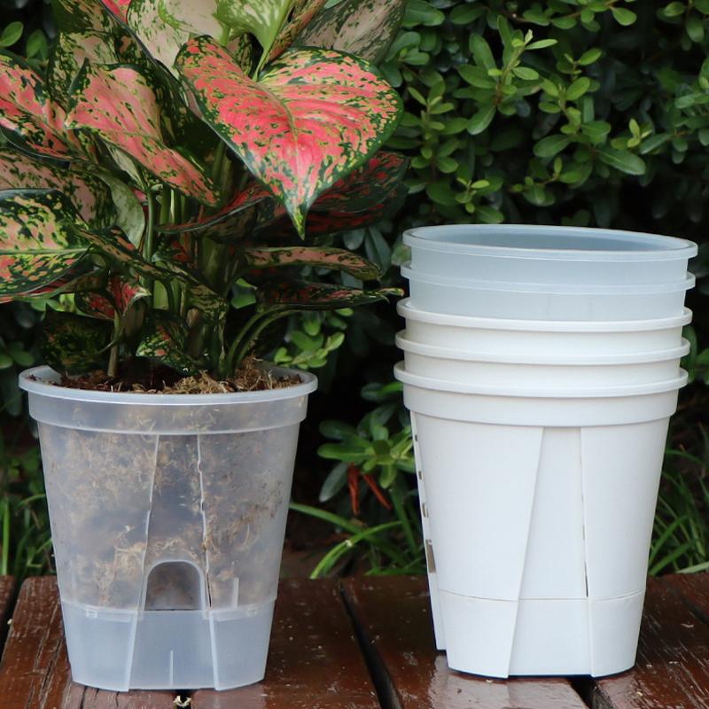Water Storage Flowerpot Bonsai Basin Butterfly Orchid Breathable Hydroponic Pot Self Absorbing Basin Gardening Planting Tool