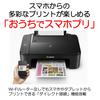 Old Model Canon Printer A4 Inkjet Multifunction Device PIXUS TS3130S Black