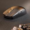 Periferice pentru calculatoare – Mouse-uri