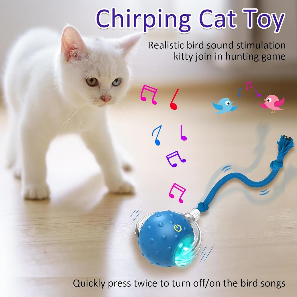 Indoor Cat Interactive Toy Ball, Fast Rolling On Carpet, Chirping and Motion Activated Cat Toy