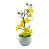 No Watering Required Plum Blossom Bonsai No Sunlight Needed