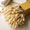 50Pcs Fluffy Bunny Rabbit Tail Grass Dried Flowers Bouquet Wedding Christmas Decor Natural Pampas Boho Home Autumn Decoration