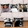 Super Rapper Eminems Pillow Case Square Pillow Bedroom Sofa Leisure Comfort Cushion Car Living Room Home Decoration