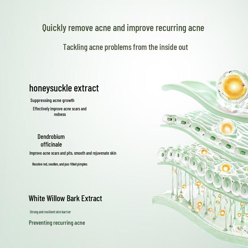 Zhibenjue Honeysuckle Acne & Oil Control Skincare Set