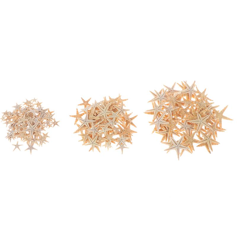 Sea Shells Size:0.5-3Cm 100Pcs Mini Starfish Craft Decoration Natural Sea Stars