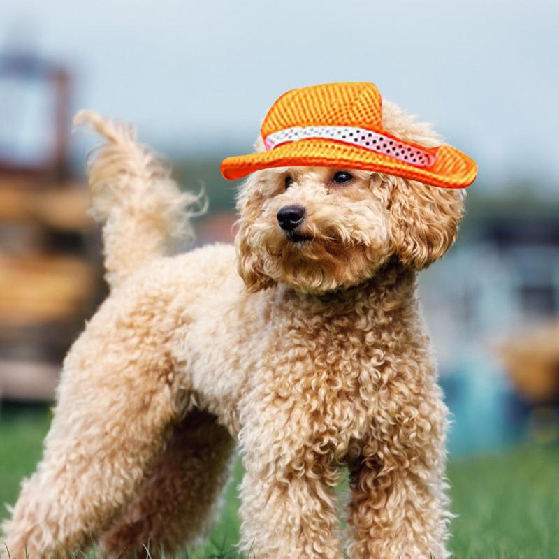 Breathable Dogs Sun Hats Round Brim Dog Visor Hat Outdoor Breathable Sun Protection With Ear Holes Mesh Sun With Adjustable Chin