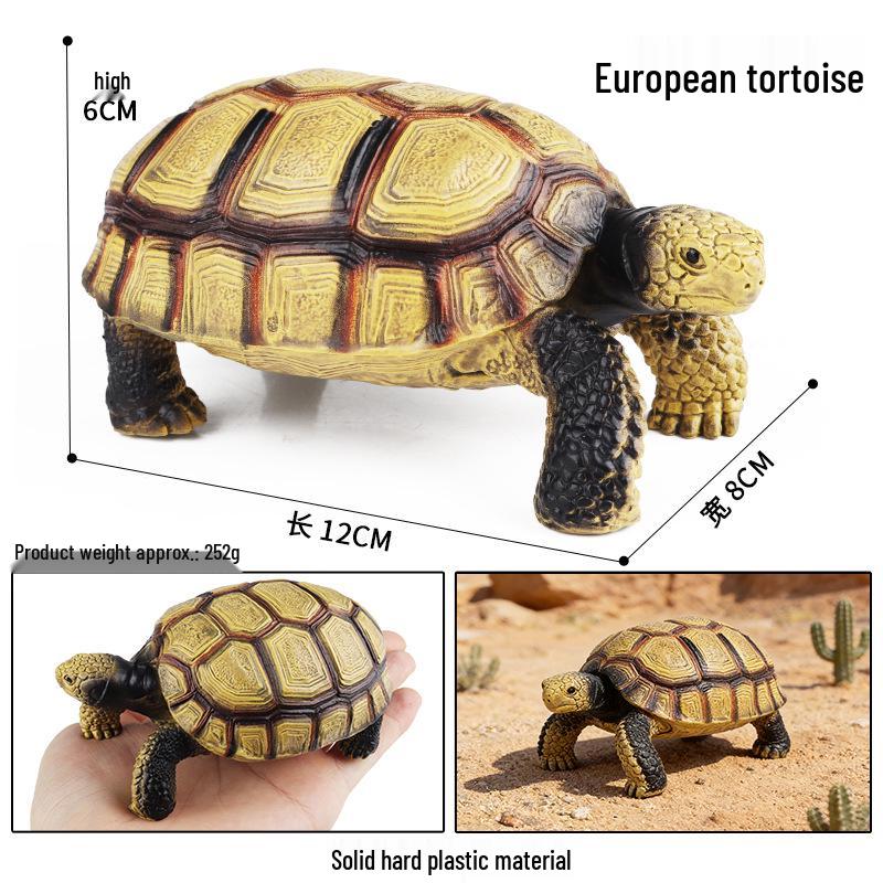 Children's Cognitive Marine Animal Models: Sea Turtle and Tortoise Toys