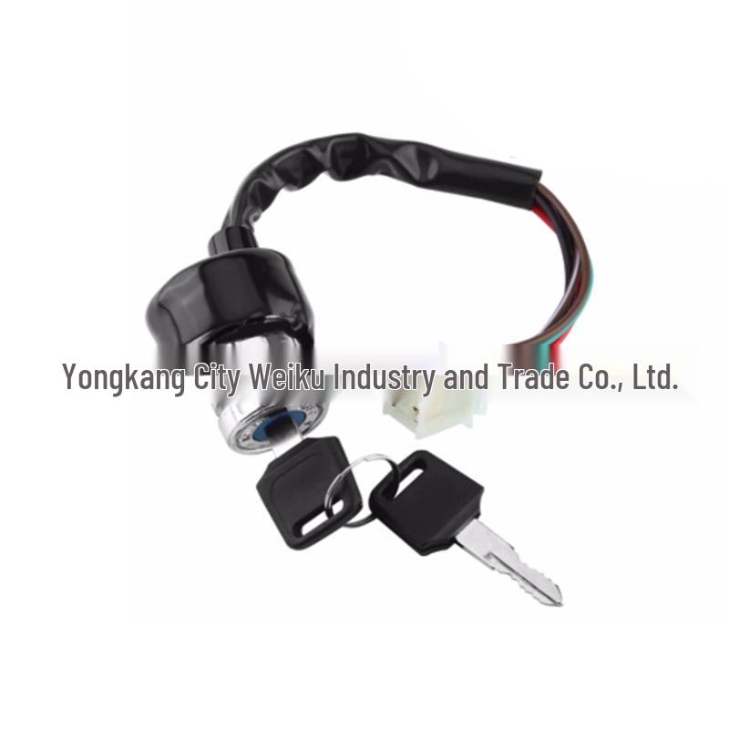 9-Hole 6-Wire ATV Buggy Ignition Switch & Door Lock Key