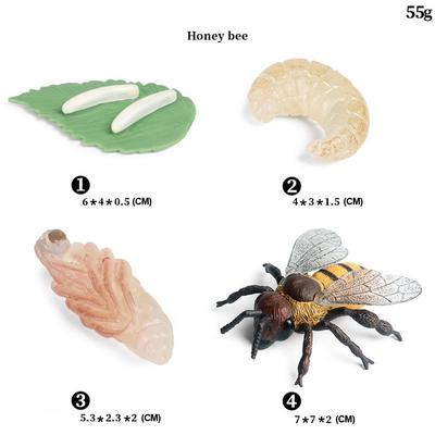 Insektenmodelle, simuliertes Tier, natürliches PVC-Spielzeug, Kunststoffmaterial, brandneu