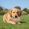 Bissfester Hunde-Elastikball Geldbeutelform Haustier Interaktiver Ball Interaktives Spiel
