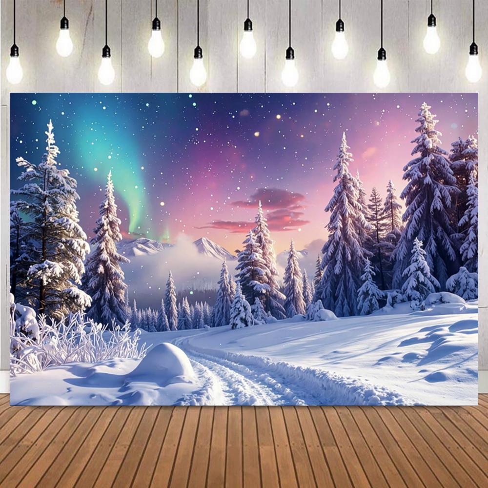 Winter Night Sky With Aurora Backdrop Snow Scene Mountains Lake Forest Starry Sky Natural Landscape Decor Photography Background14