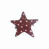 Lightweight Star Hair Clip Five-Pointed Star Hairpin  Street Style Fashion Outfit