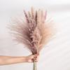 Reed Flower Bouquet Natural Dried Flowers for Home Decoration 55x10cm
