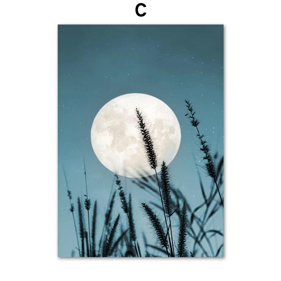 

Гора Река Озеро Пирс Лодка Дикая Трава Луна Скандинавский Плакат Настенная Живопись Печать На Холсте Картина Украшения Картины Для Гостиной 40x50cm No Framed