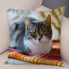 Cute Pet Animal Print Pillowcase Funny  Cat  Decoration Car Sofa Home Cushion Cover