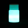 20g Fashion Bright DIY Craft Luminous Paint Acrylic Glow In The Dark Pigment