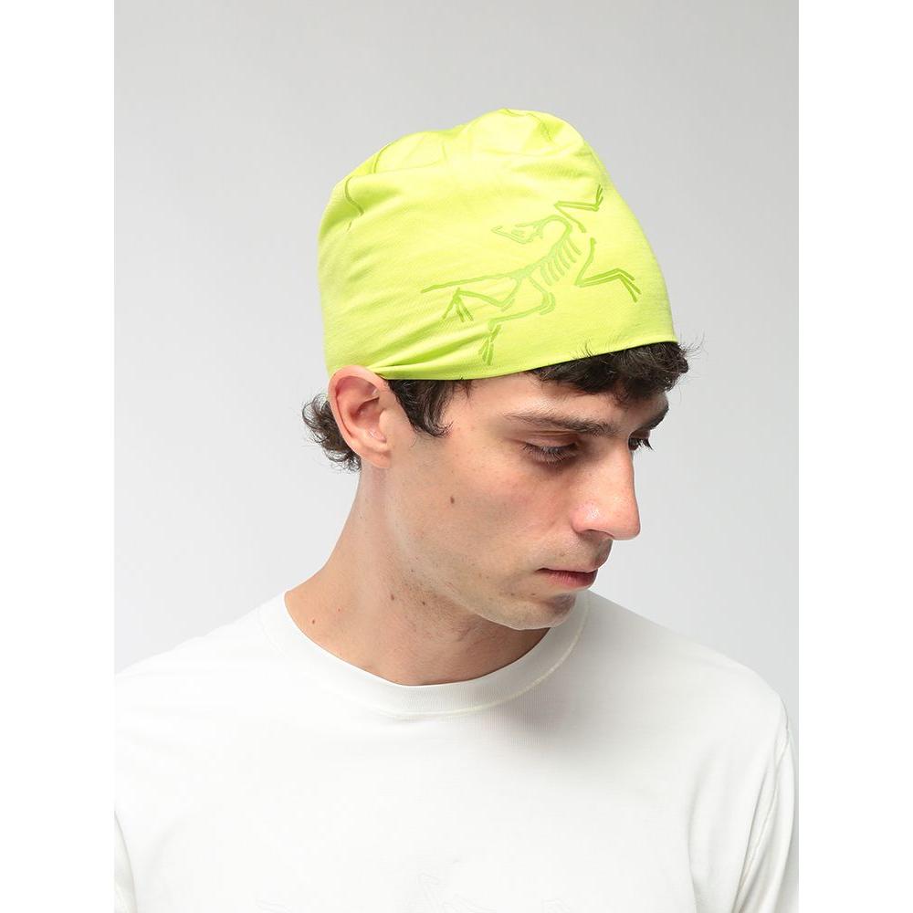 Used ARC TERYX Men s Toque Hat