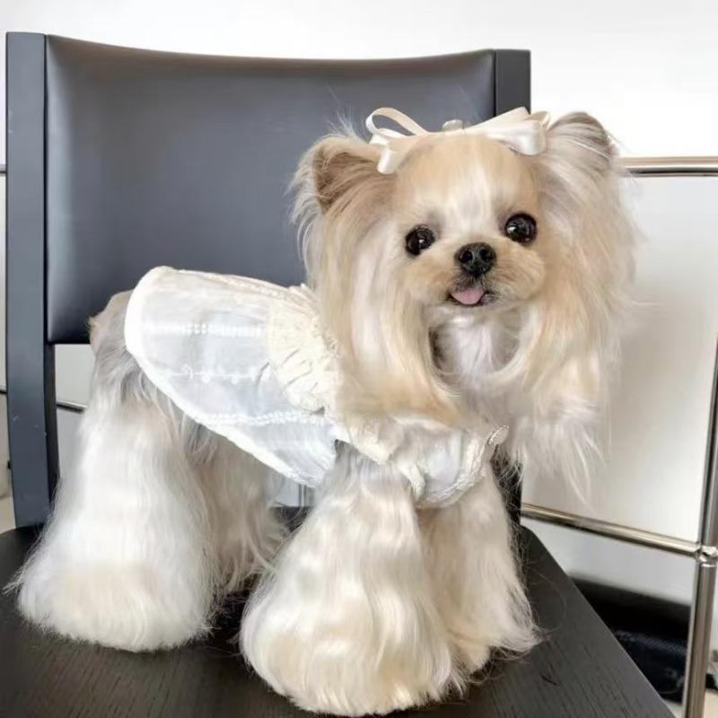 Pet dog dog out clothes cute fungus edge skirt small and medium pet Maltese than bear teddy
