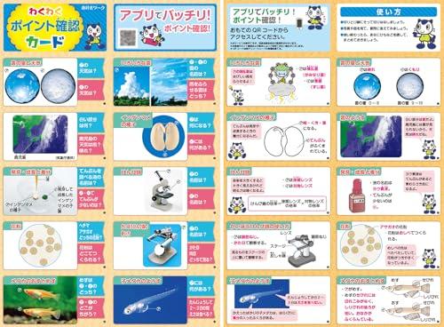 Elementary School Textbook Work Science 5th Grade Education Publishing Edition