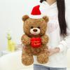 Santa Hat Teddy Bear Plush Toy Cute Cartoon Children Girls Holiday Gift Doll