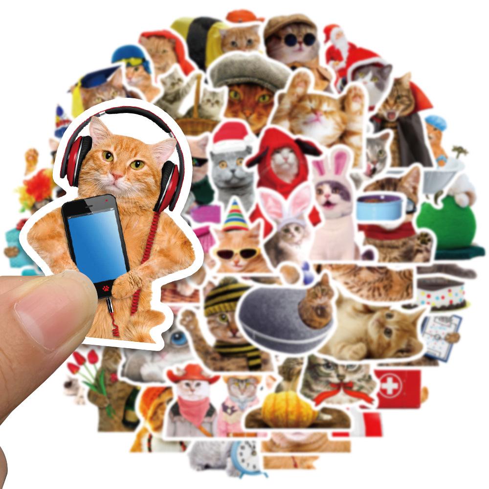 50PCS Cute Cat Stickers Vinyl Waterproof Funny Cats Decals for Water Bottle Laptop Skateboard Scrapbook Luggage Kids Toys