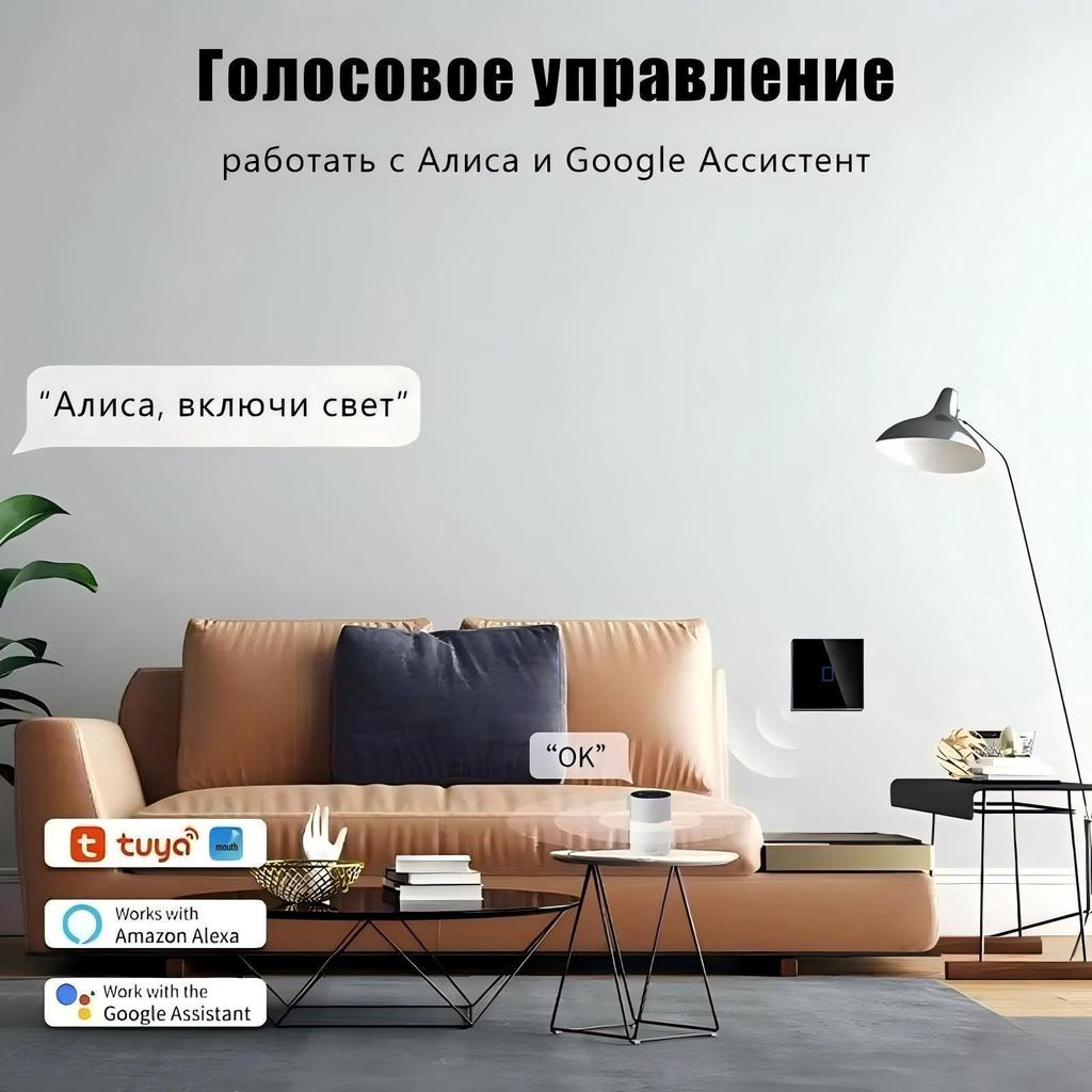 EU Standard WiFi Smart Switch with Alice Voice Control for Smart Home