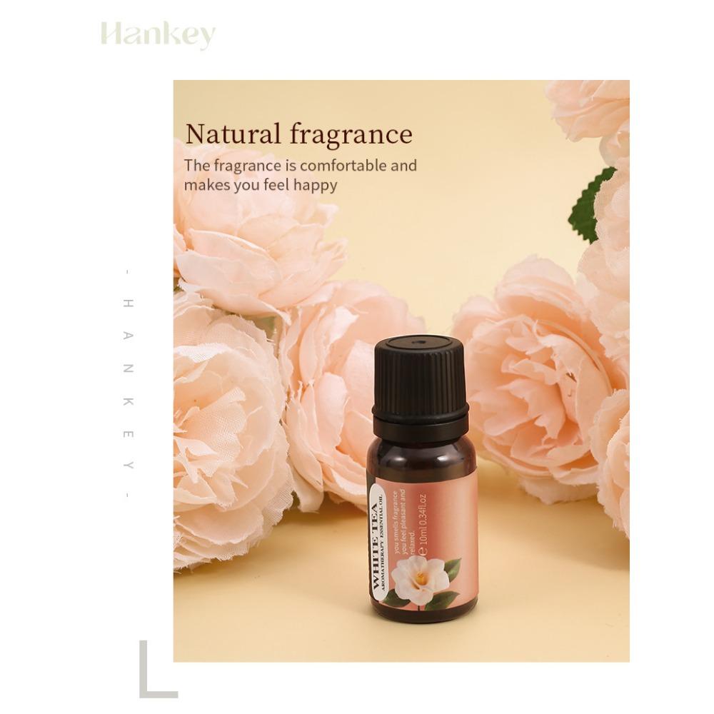 1PC Aromatherapy Essential Oil, Long-lasting Indoor Fragrance, Fresh Air, Water-soluble Aromatherapy Plant Essential Oil