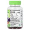 21st Century VitaJoy® Prebiotic and Probiotic Gummy Jelly, Berry Flavor, 60 Gummies