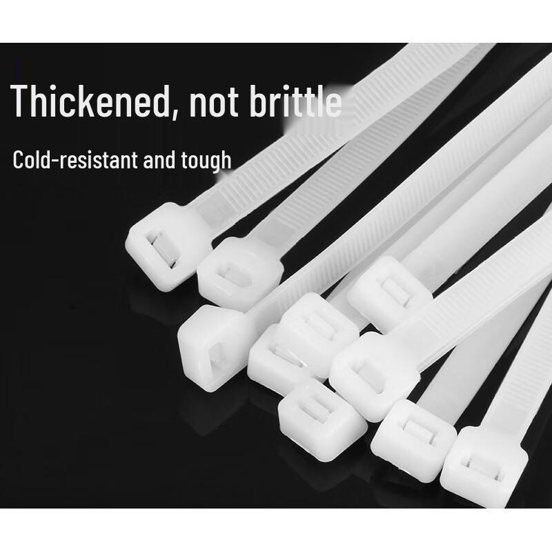Self-locking Nylon Cable Ties