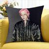 Singer T-TAEYAN-G   Various Sizes Square Pillow Case For Car Home Bedchamber Decor
