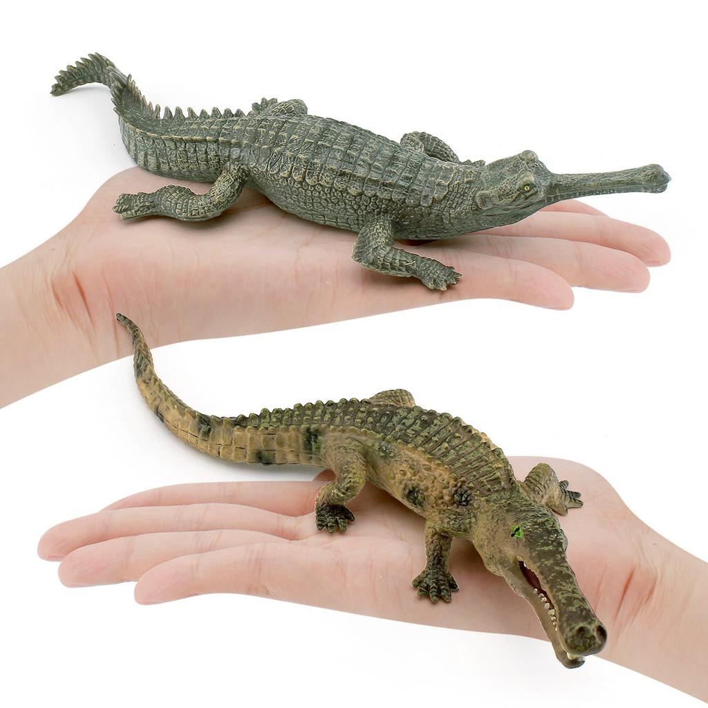 Simulation Amphibian 3 Crocodile Model Toys, Alligator Fish-Eating Crocodile Emperor Crocodile Decorative Static Ornament