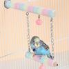 Double Layer Wood Standing Stick Colorful Cotton Rope Bird Cage Swing  Training Perch
