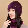 New Knitted Hat Winter Women's Outdoor Cold Hat Outdoor Crimped Twist Pattern Warm Wool Hat