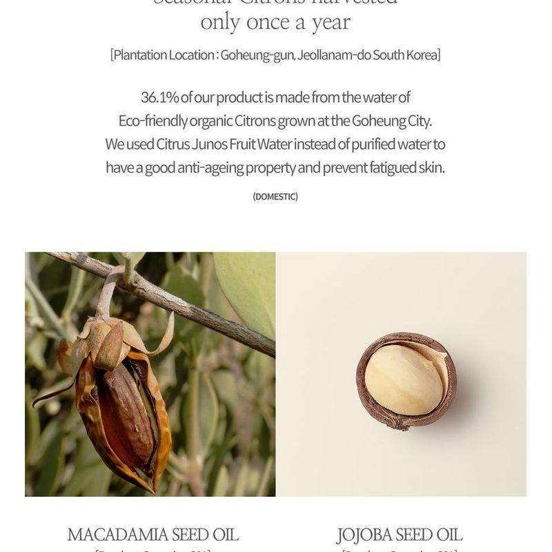 SIORIS - Time Is Running Out Mist