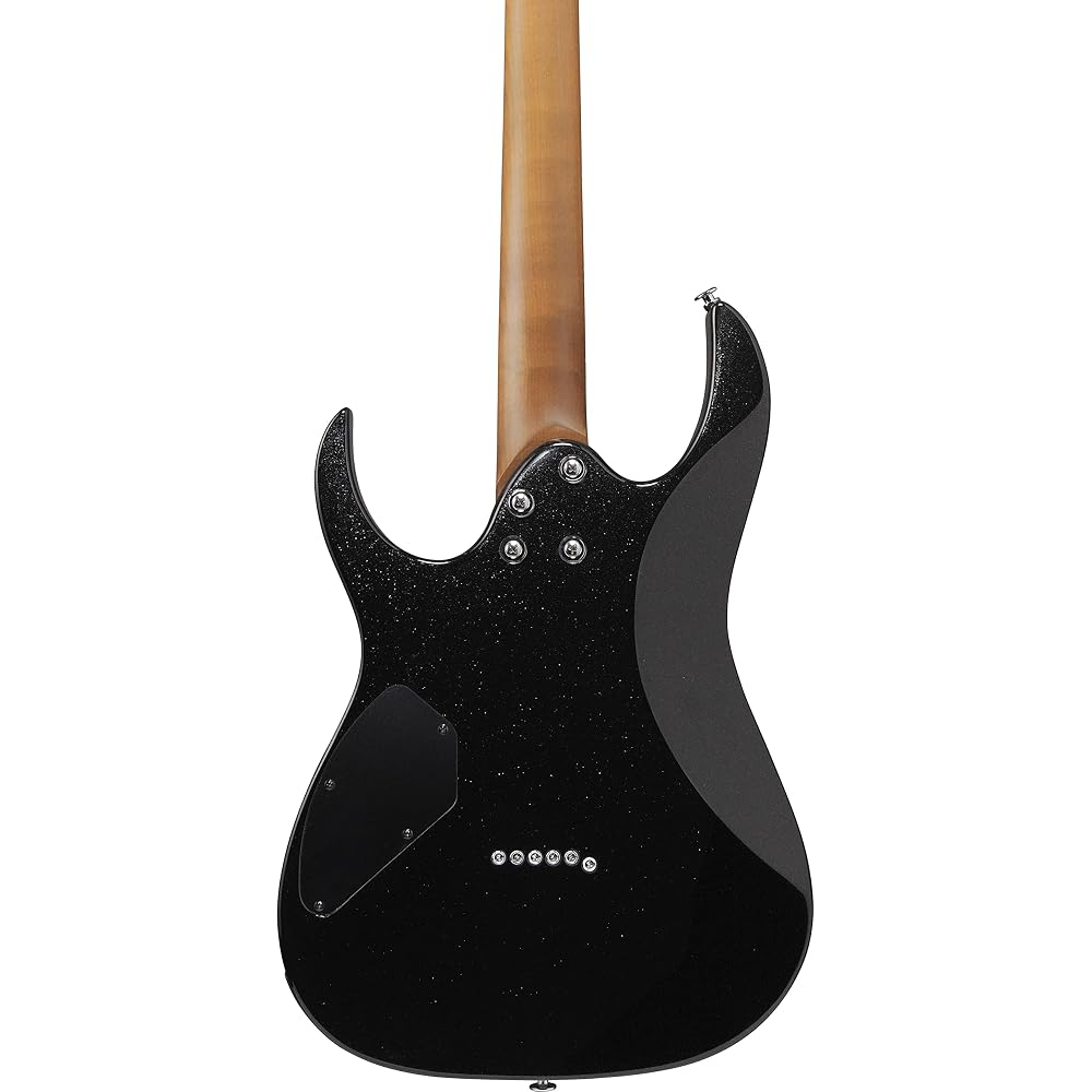 Ibanez (Ibanez) GIO series electric guitar Black Night GRG121SP-BKN