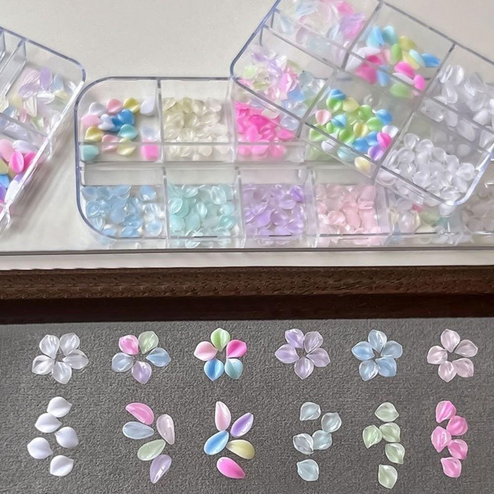 Colorful Nail Art Glitter Set Transparent Nail Charms Decorations Nail Decoration