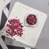 12-Grid Retro Nail Art Rhinestones & Polka Dot Glitter Sequins - DIY Small Round Ornaments.