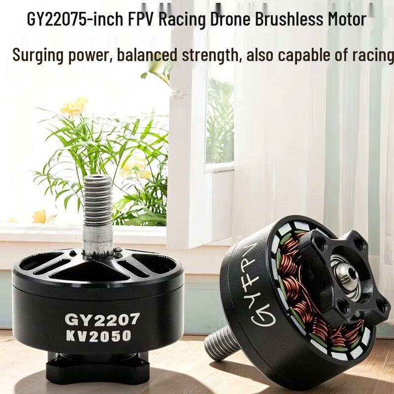 Zhui Dong Li 2207 2050KV FPV Brushless Motor