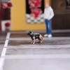 Handmade Small Animal Model 3D Printing Technology Miniature Dog/Cats Model Great For Collectors And Decorators