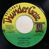 7inch Record CHOZEN LEE  Its Not Far TG0013 Thunder Gate Re Japan Japanese Club Dance Used