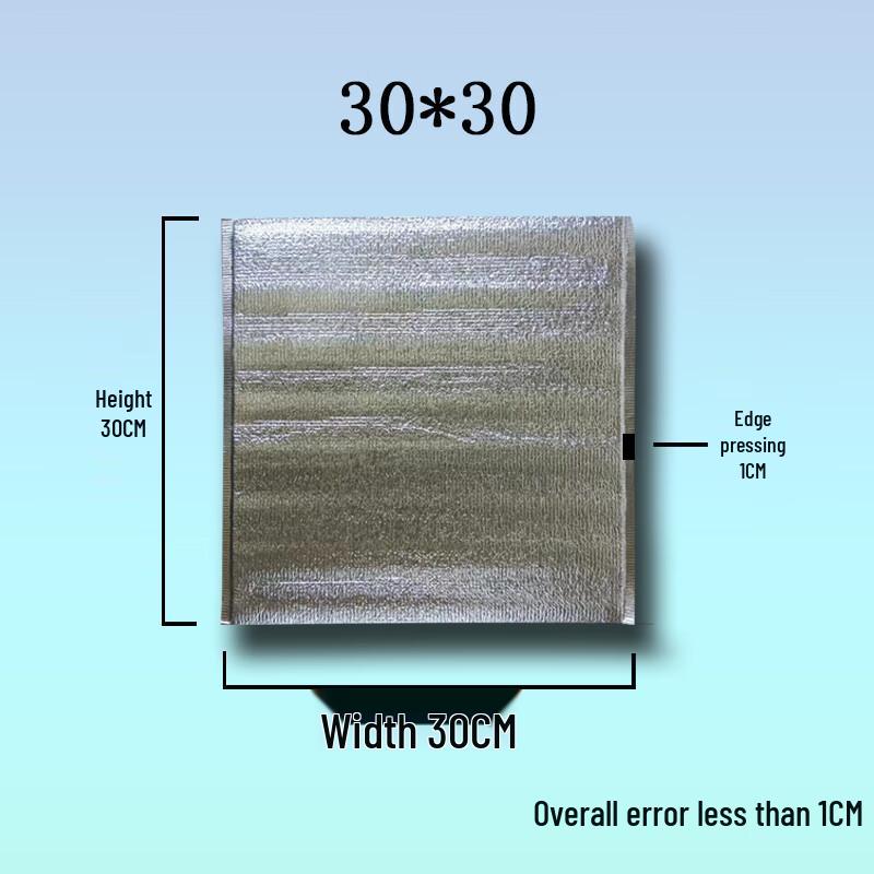 

Shixun Insulated Delivery Cooler Bag