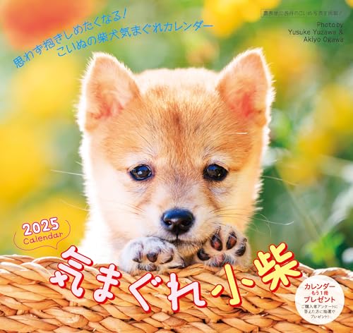 

2025 Whimsical Koshiba Calendar (Wall Hanging) Shiba Inu 6 Week Display ([Calendar])