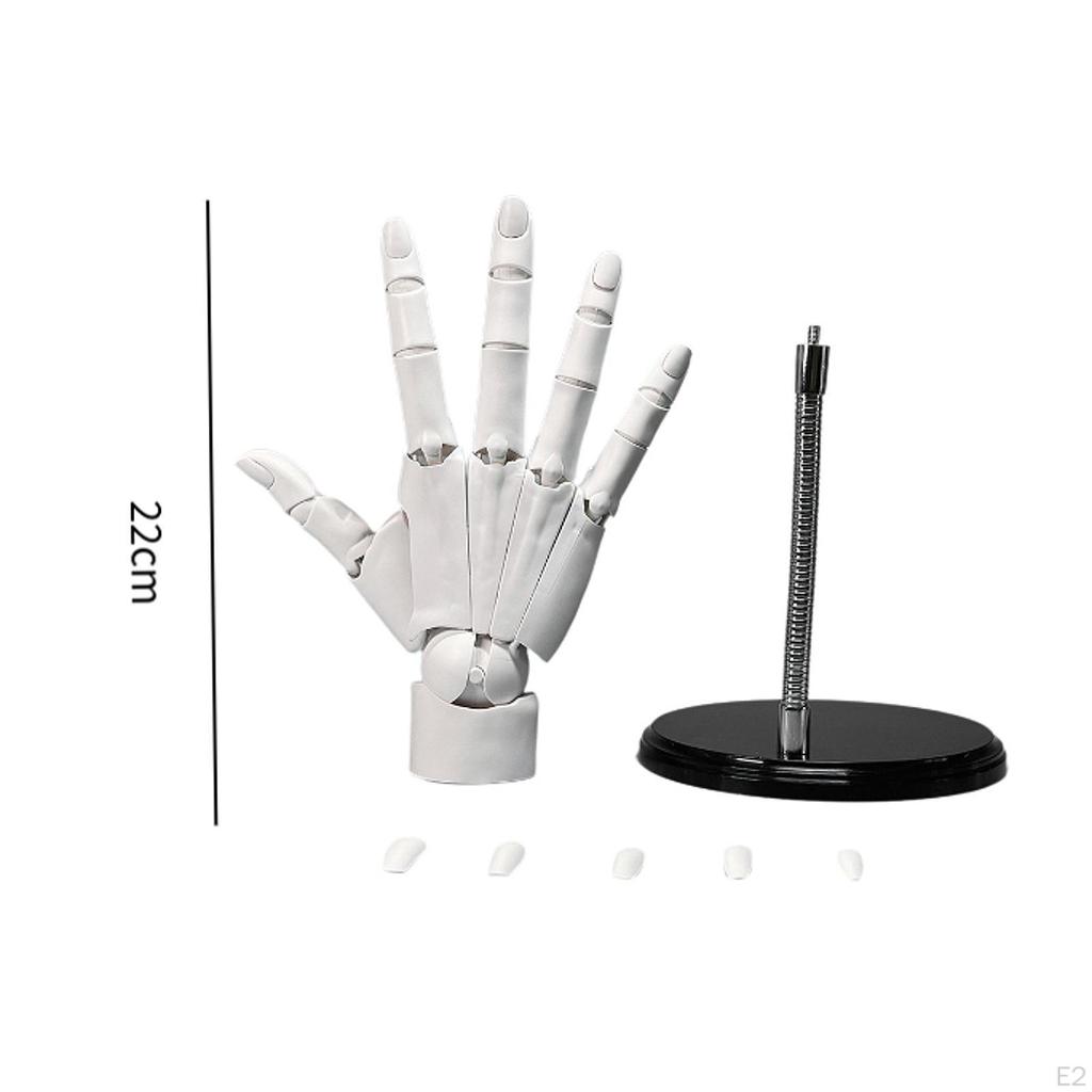 Flexible Hand Model Joints Moveable Fingers Ring Holder Home Decor Artists Manikin